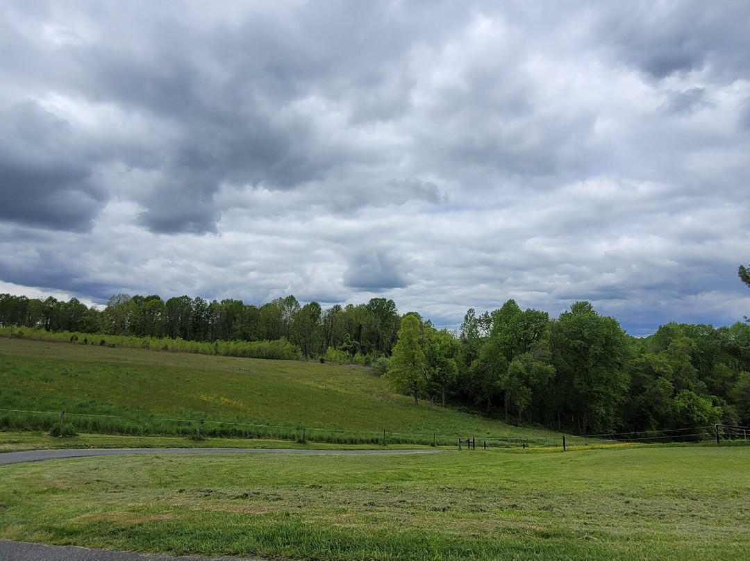 Deer Creek Conservation Area-Forest Hill必去景点