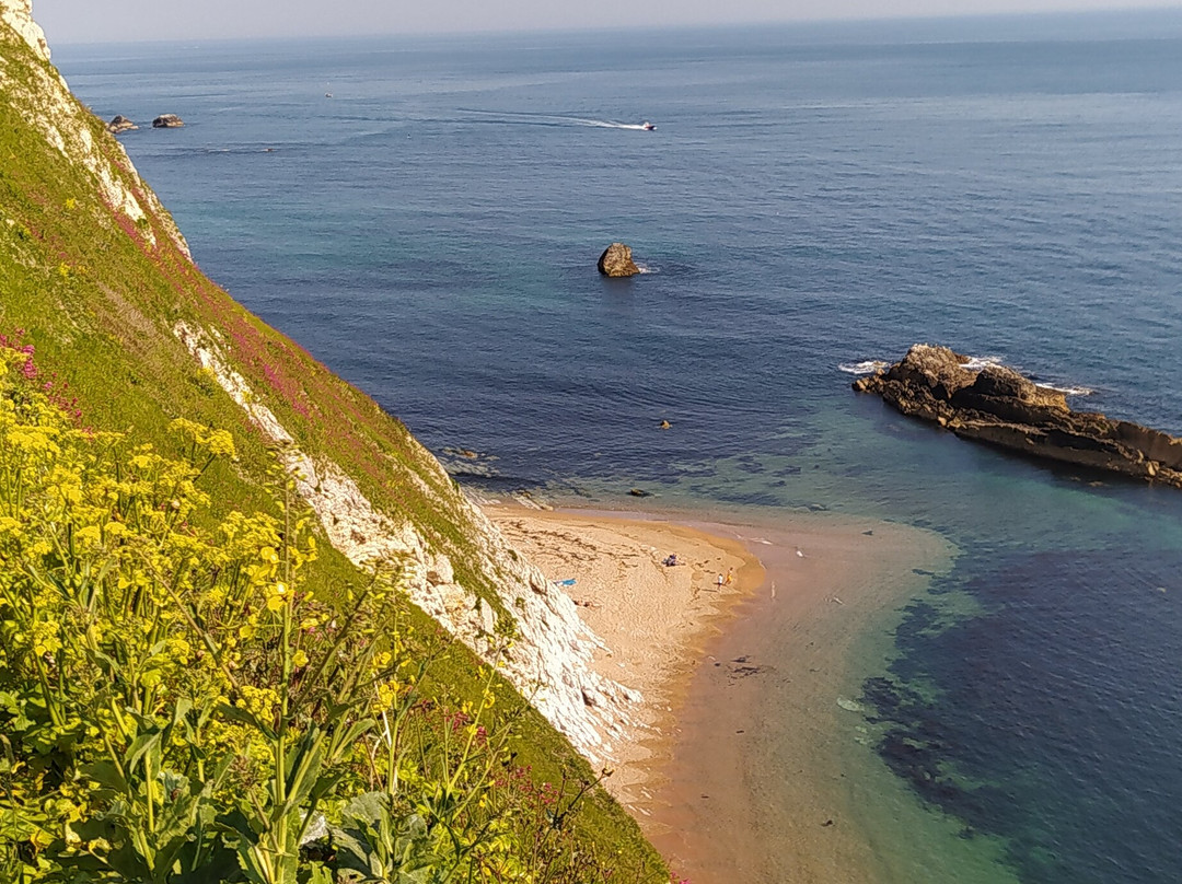 Durdle Door & White Nothe Circular Walk-西拉尔沃思必去景点