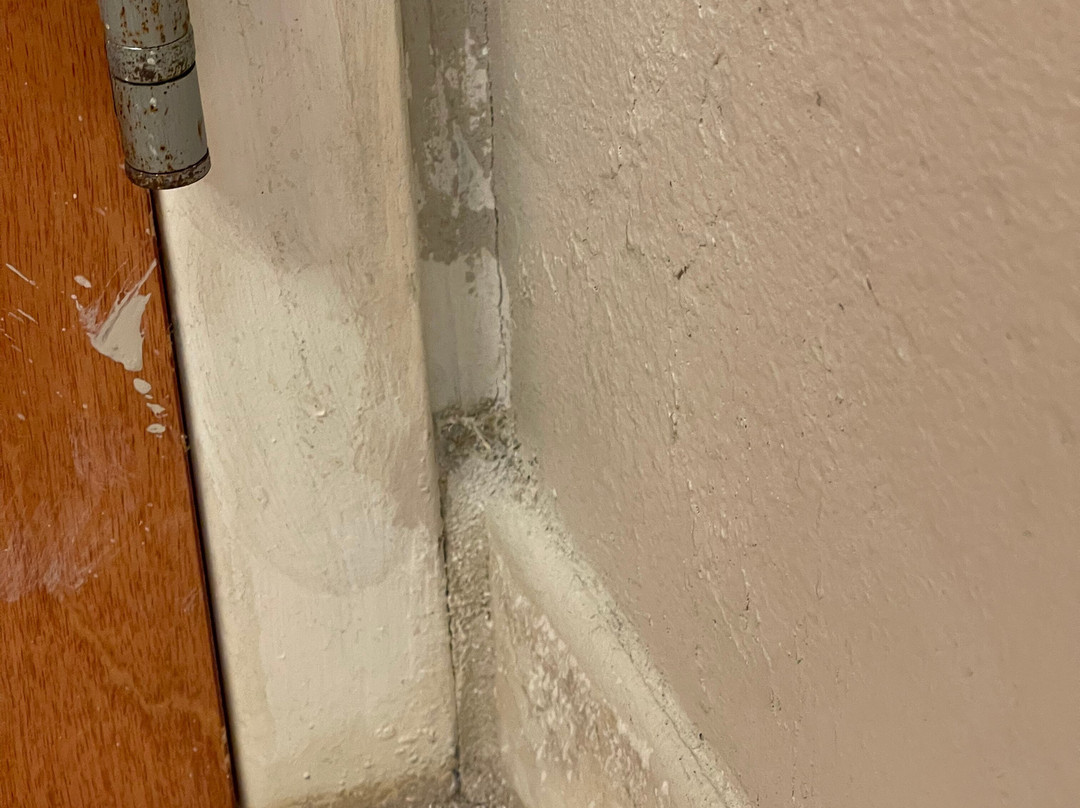 Hampton Inn & Suites Valdosta/conference Center主图