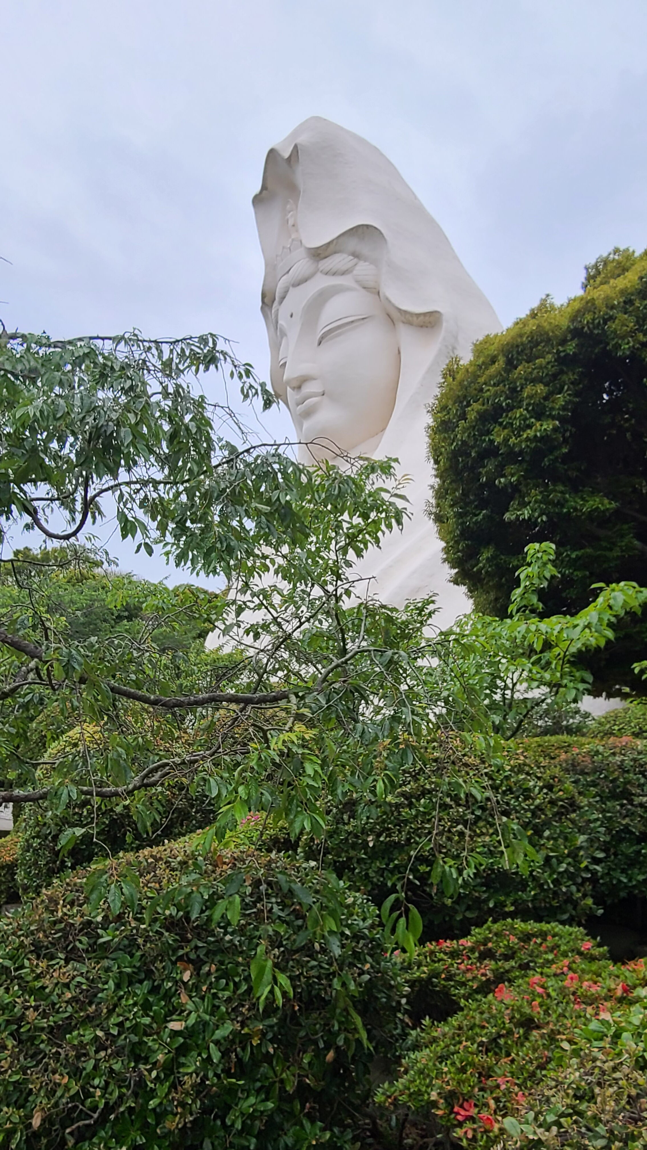 镰仓奥夫那草莓酒店-官方