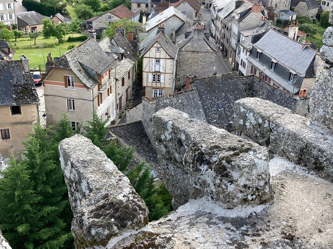 Tour du château de Sénergues-Senergues必去景点