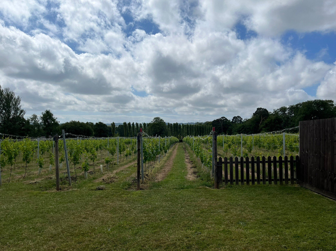 The Tasting Lodge @ Llanerch Vineyard景点图片
