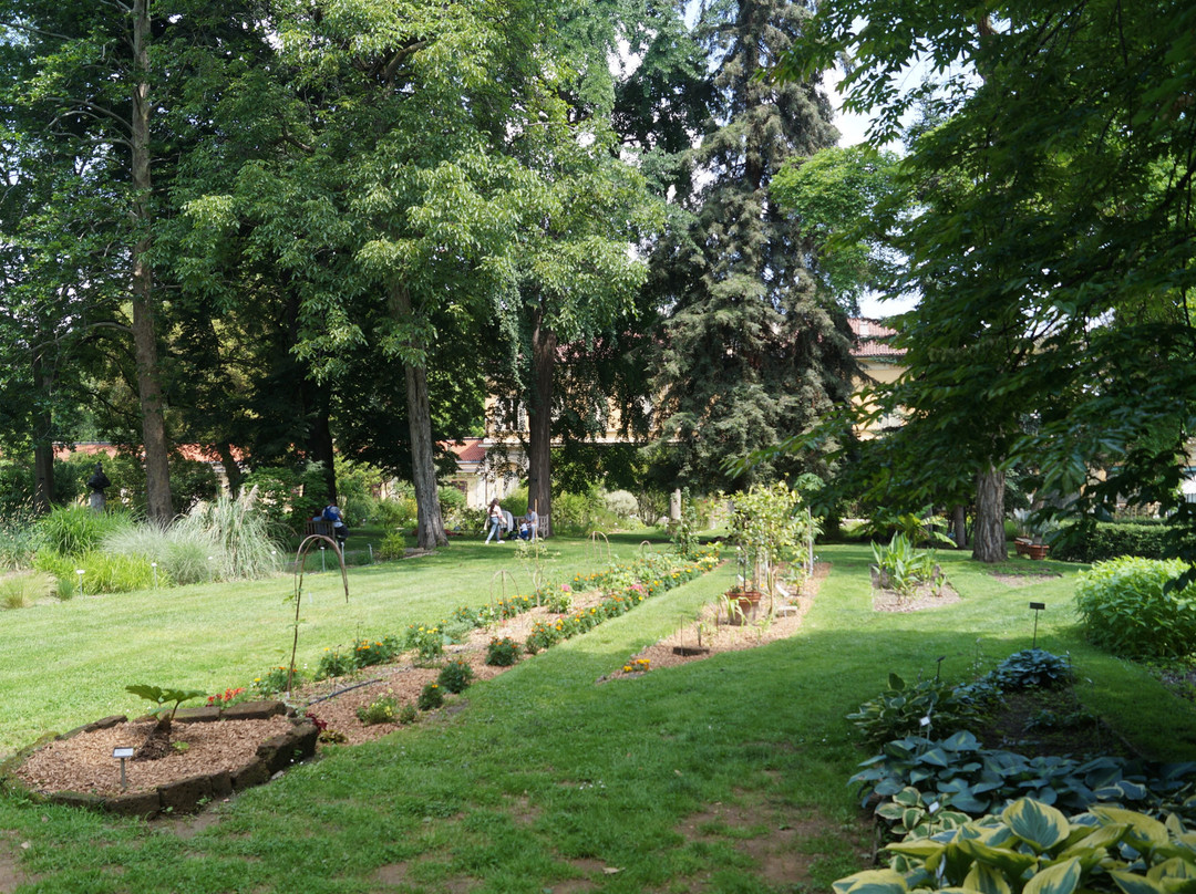 Museo dell'Orto Botanico景点图片