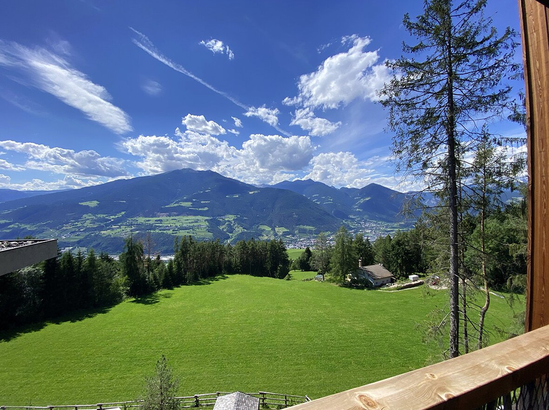 My Arbor - Dolomites主图