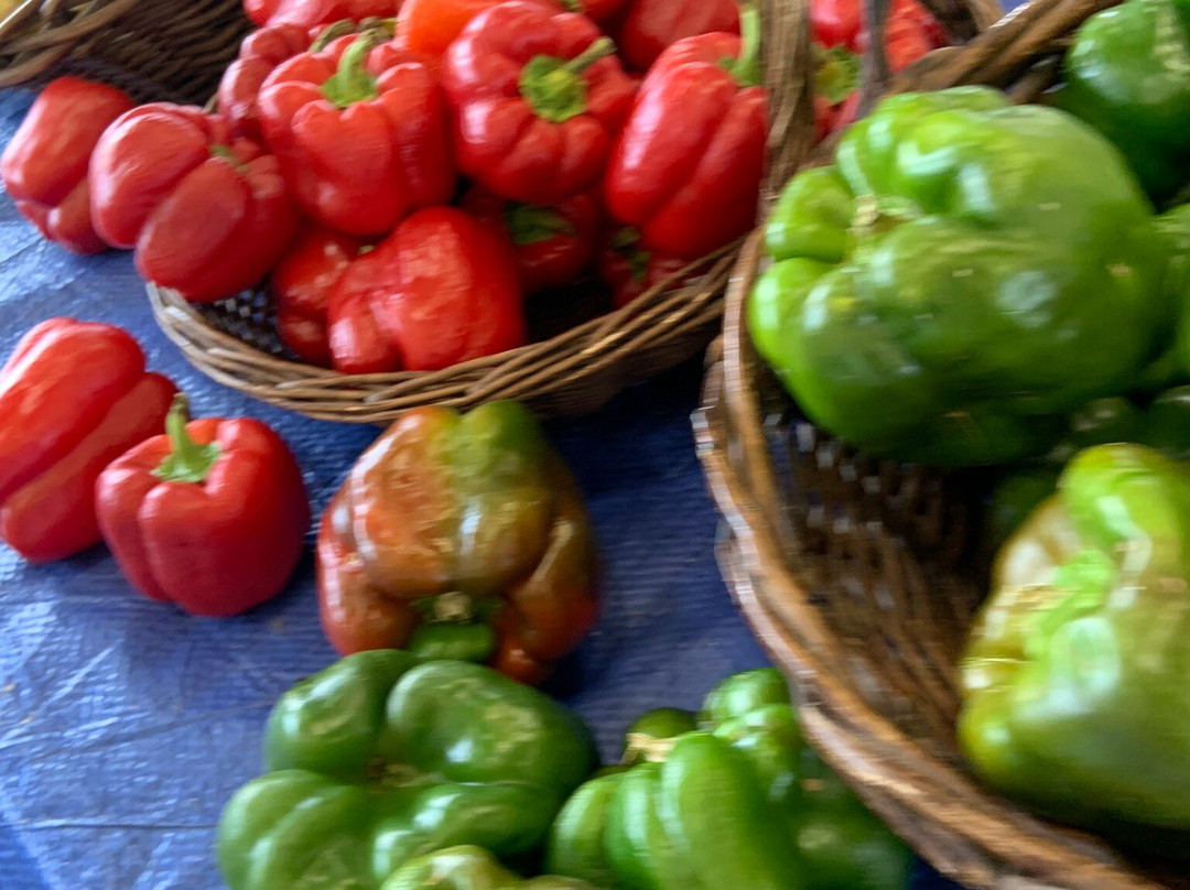 Piedmont Triad Farmers Market景点图片