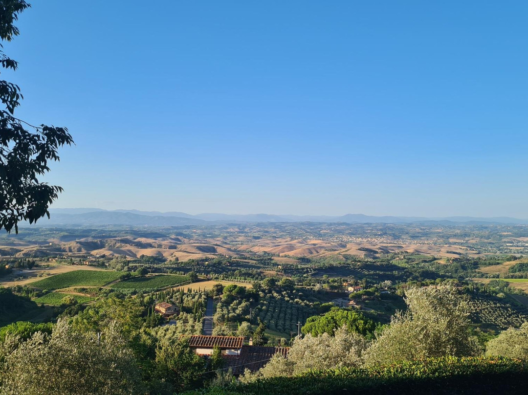 Tenuta Sant'Ilario主图