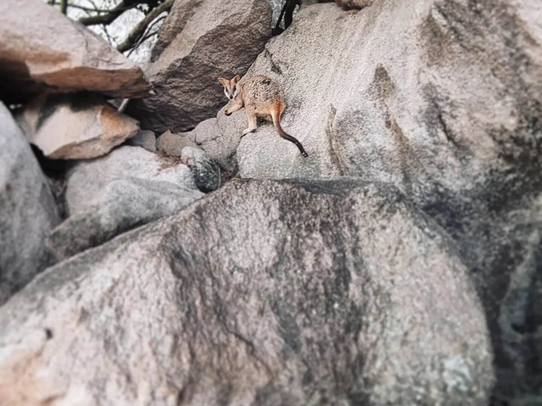 Geoffrey Bay-Magnetic Island必去景点