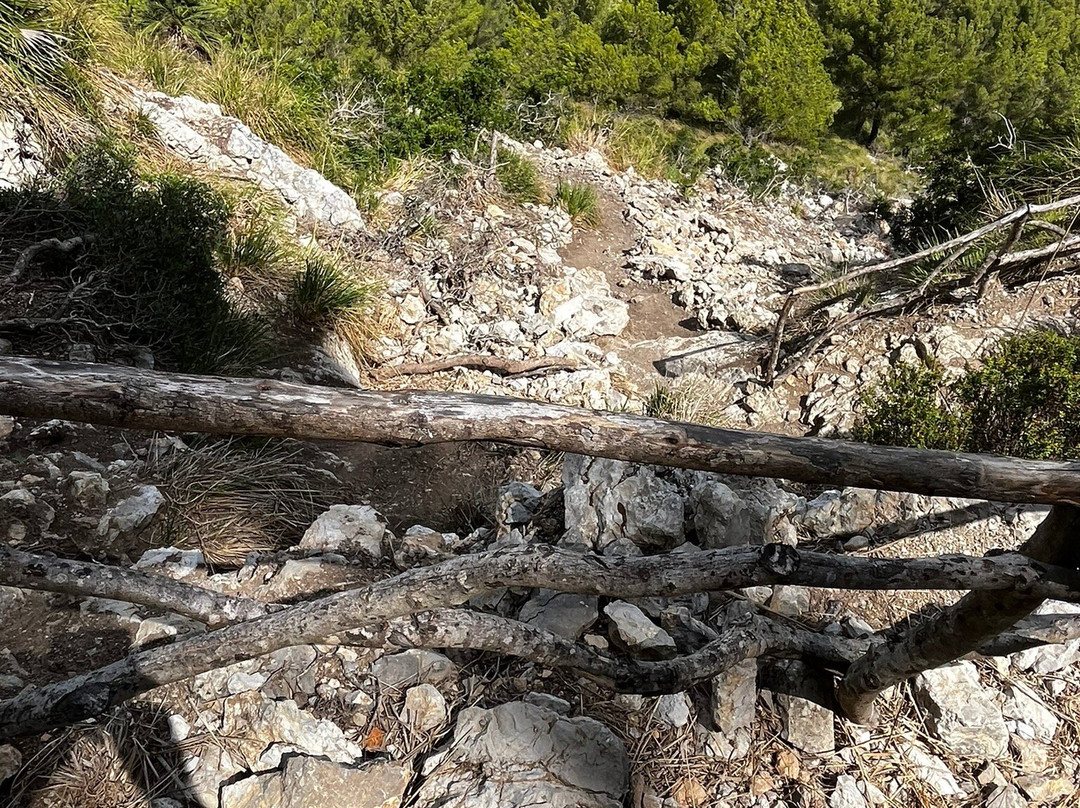 Talaia D’Alcudia景点图片