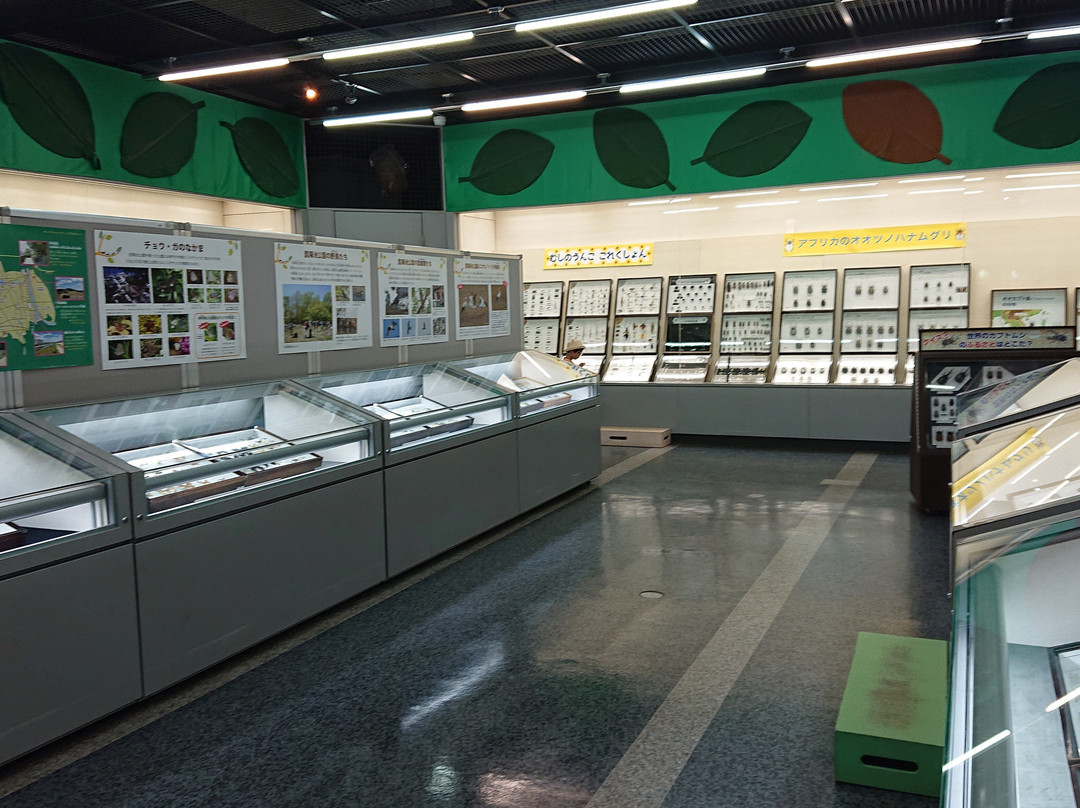 Itami City Museum of Insects景点图片