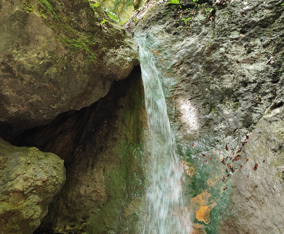 Steinwandklamm-Muggendorf必去景点