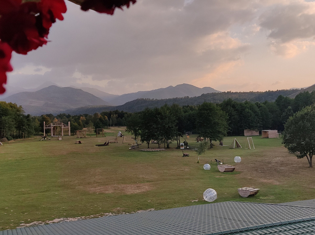 Dinosaur World Transylvania景点图片