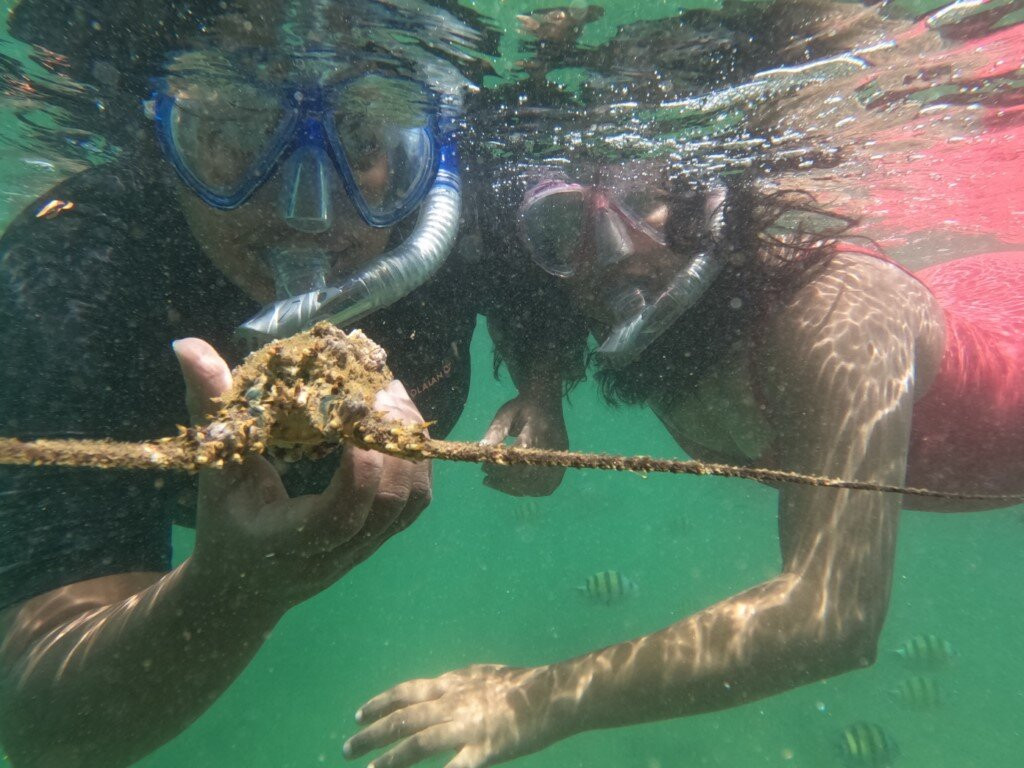 Dive Seenigama Dive Lanka-希克杜沃必去景点