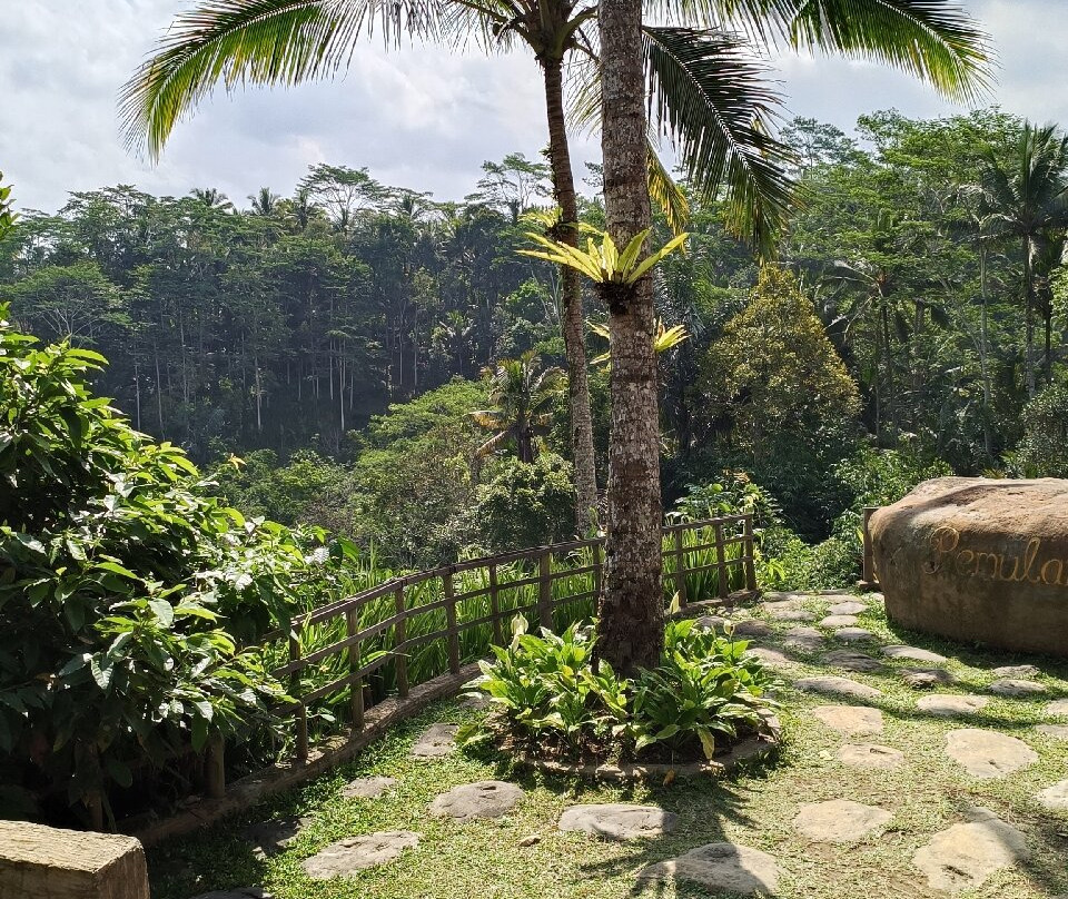 Pemulan Bali Coffee Plantation景点图片