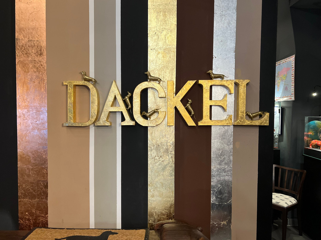 Dackelmuseum-雷根斯堡必去景点