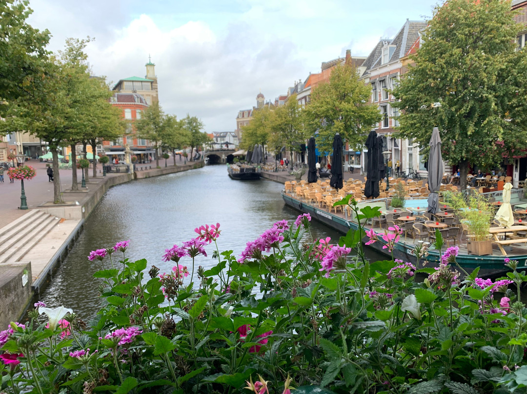 The Leiden Loop - City Walk景点图片