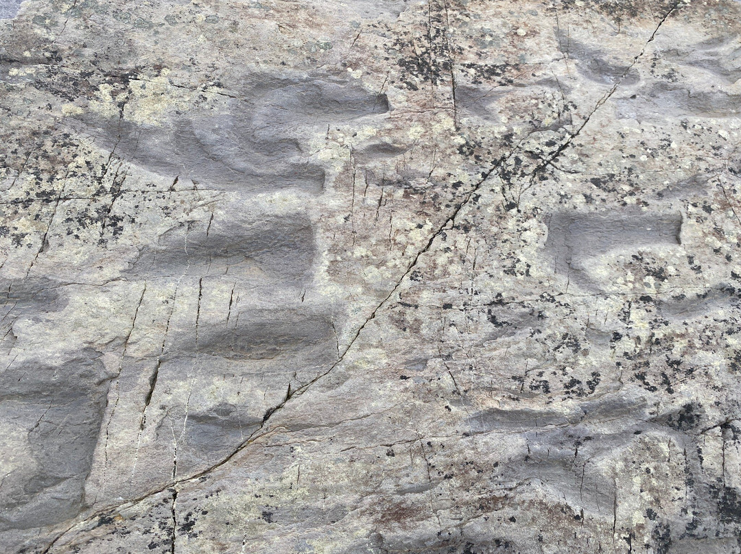 Tetrapod Trackpad-Valentia Island必去景点