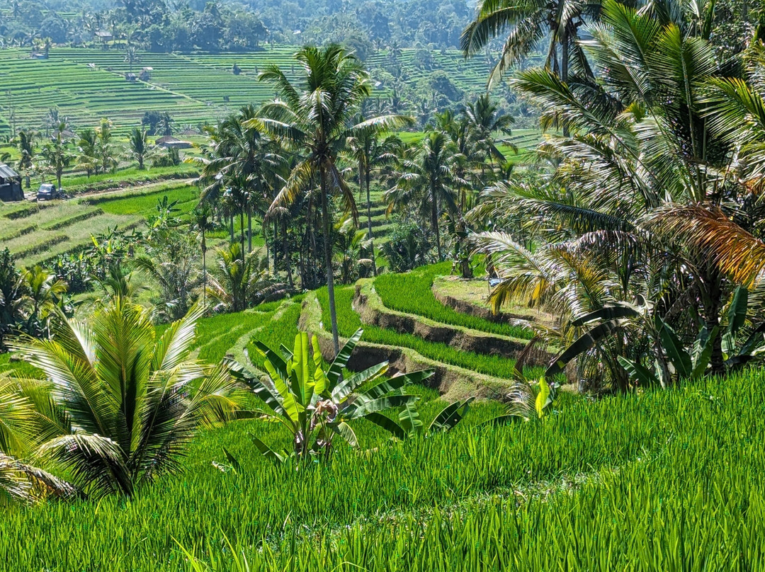 Bali Fantastic Tour景点图片