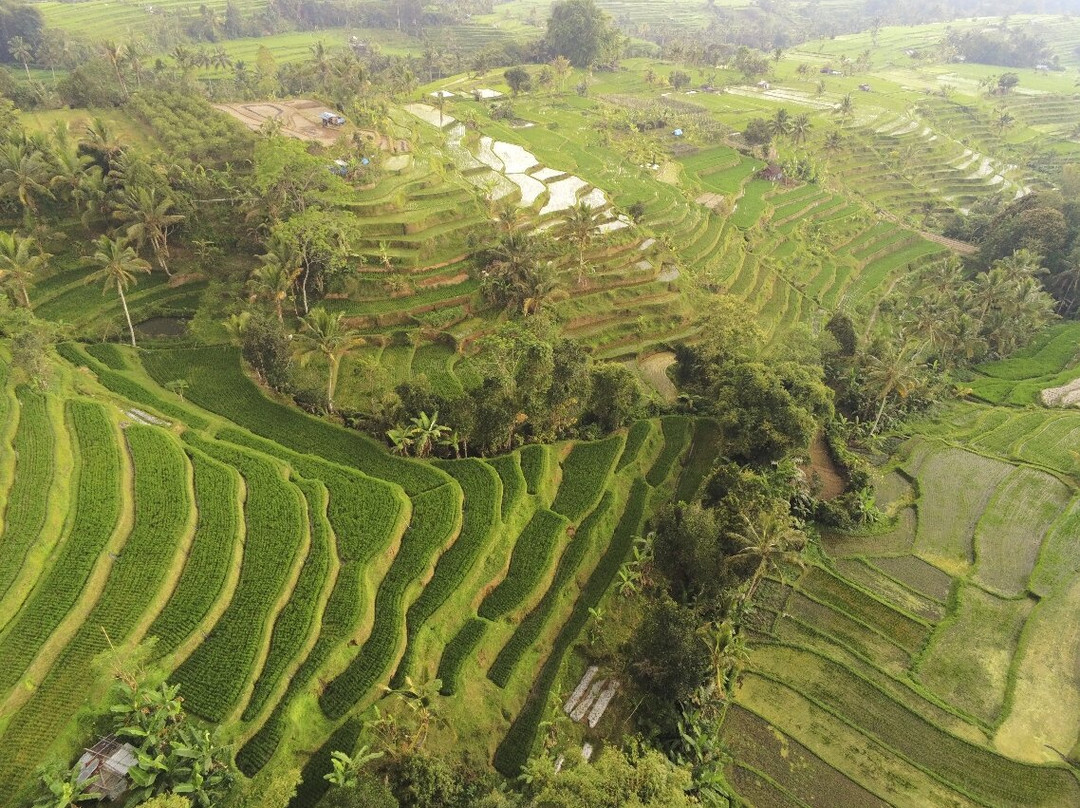 Guide Francais a Bali (Agung Sayang)-克隆孔必去景点
