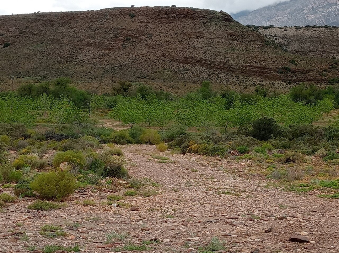Prinspoort Klein Karoo Stay