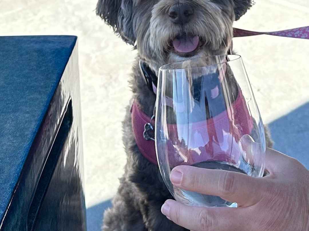 Uncorked Wine Tours-帕索罗布尔斯必去景点