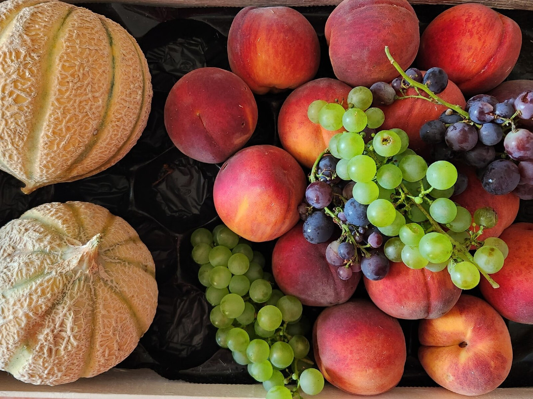 Hotel de l'Ile主图