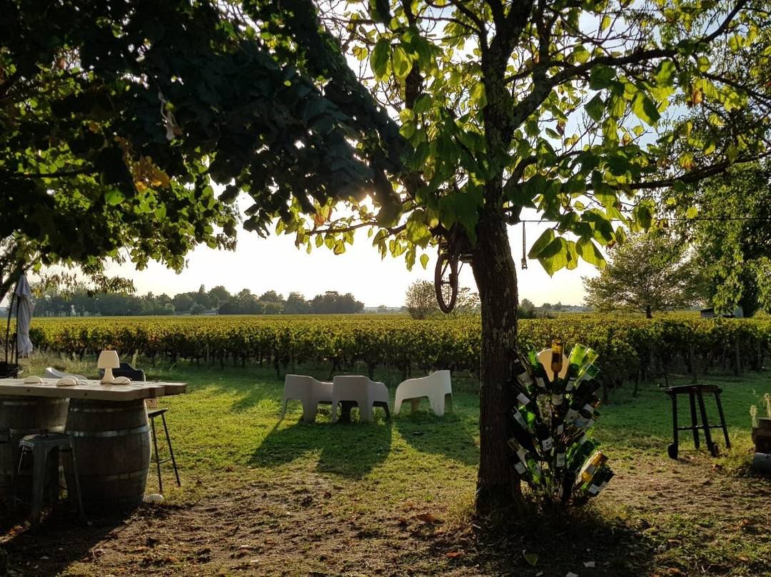 Au Vélo Dans L'Arbre主图