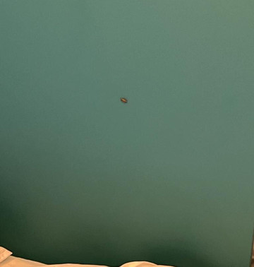 香港旺角新天地酒店主图