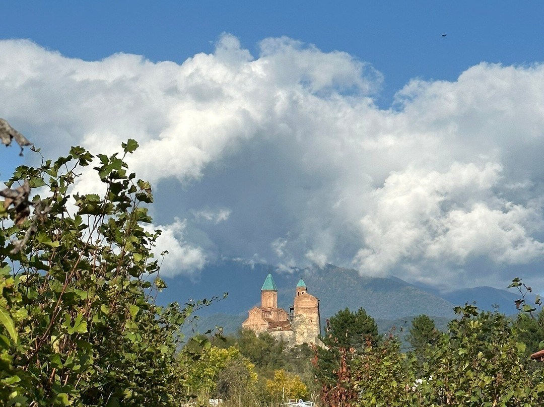 Chateau Gremisio主图