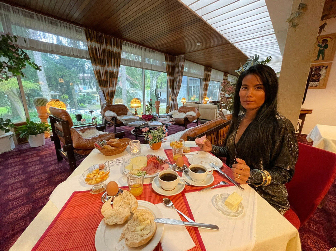 Parkhotel 1970主图