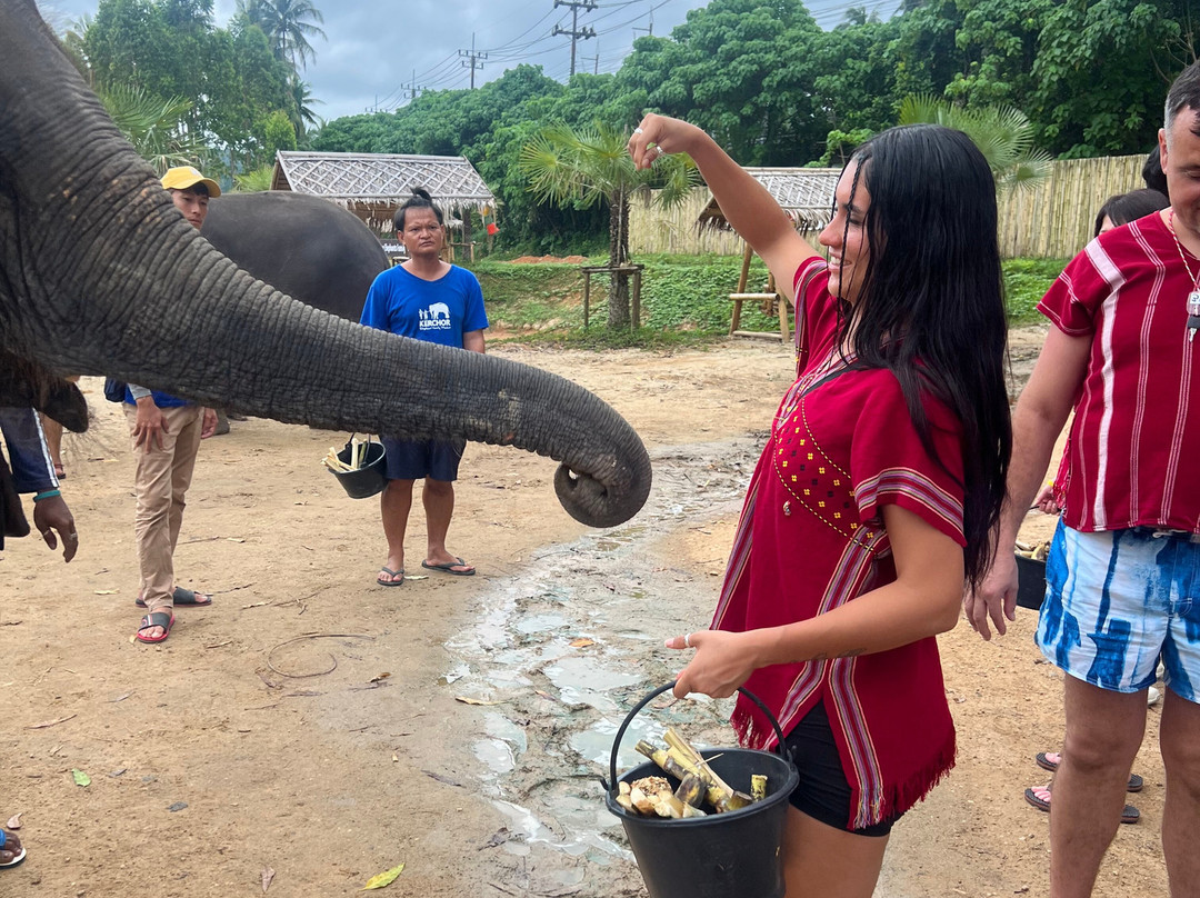Elephant Family Phuket-卡图必去景点