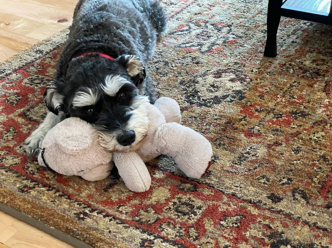 Inn at the River主图