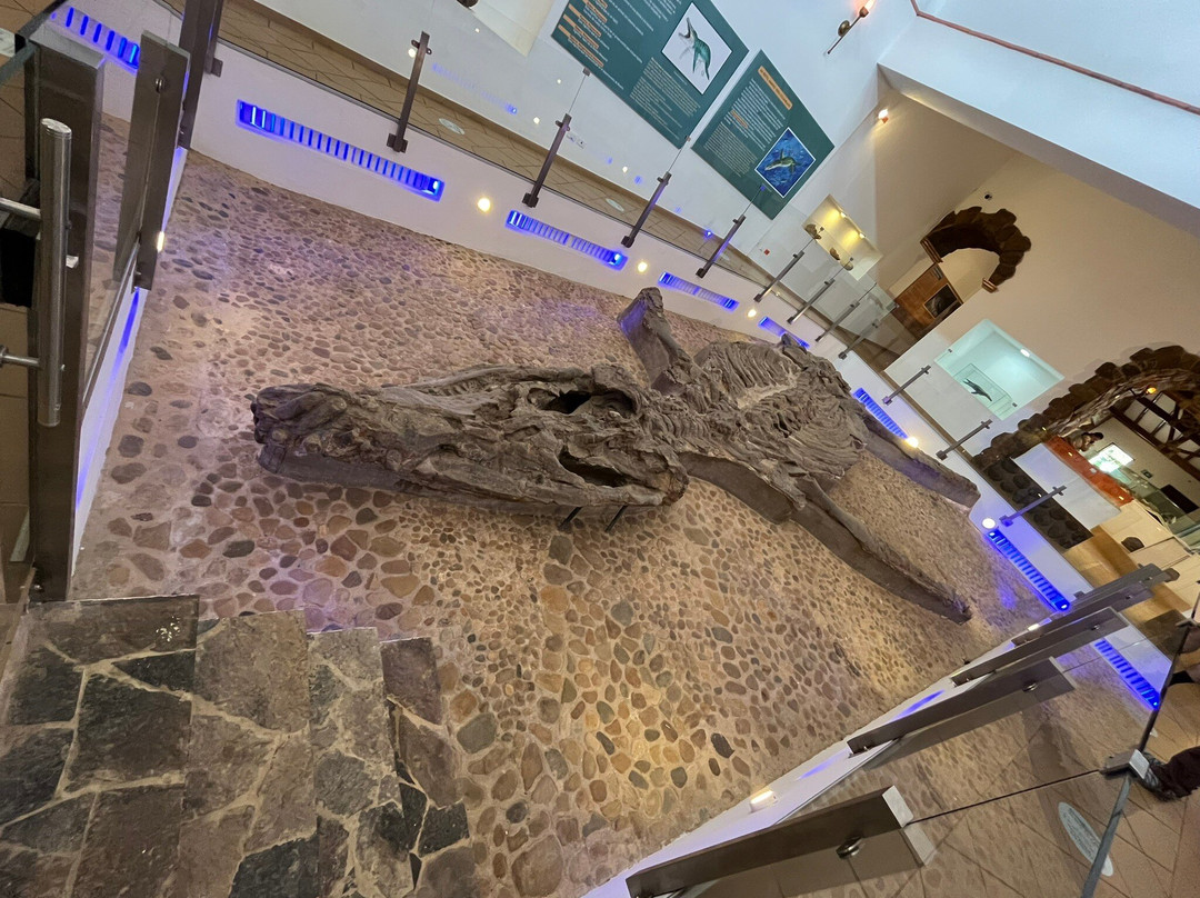 Pedaleando Ando-莱瓦镇必去景点