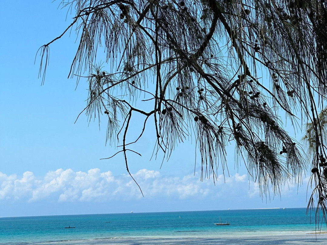 Mussa Francophone Tours-必韦久必去景点