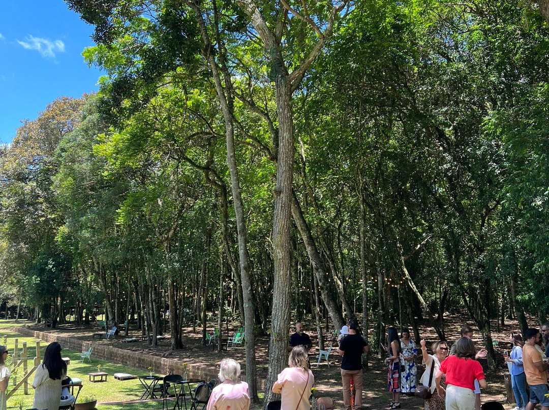 Vinícola Pianegonda景点图片