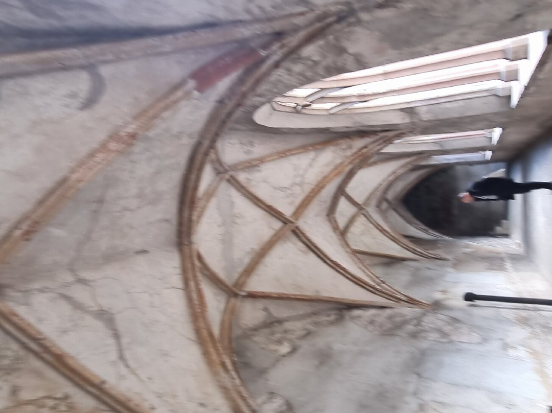 Chiesa dei Domenicani景点图片