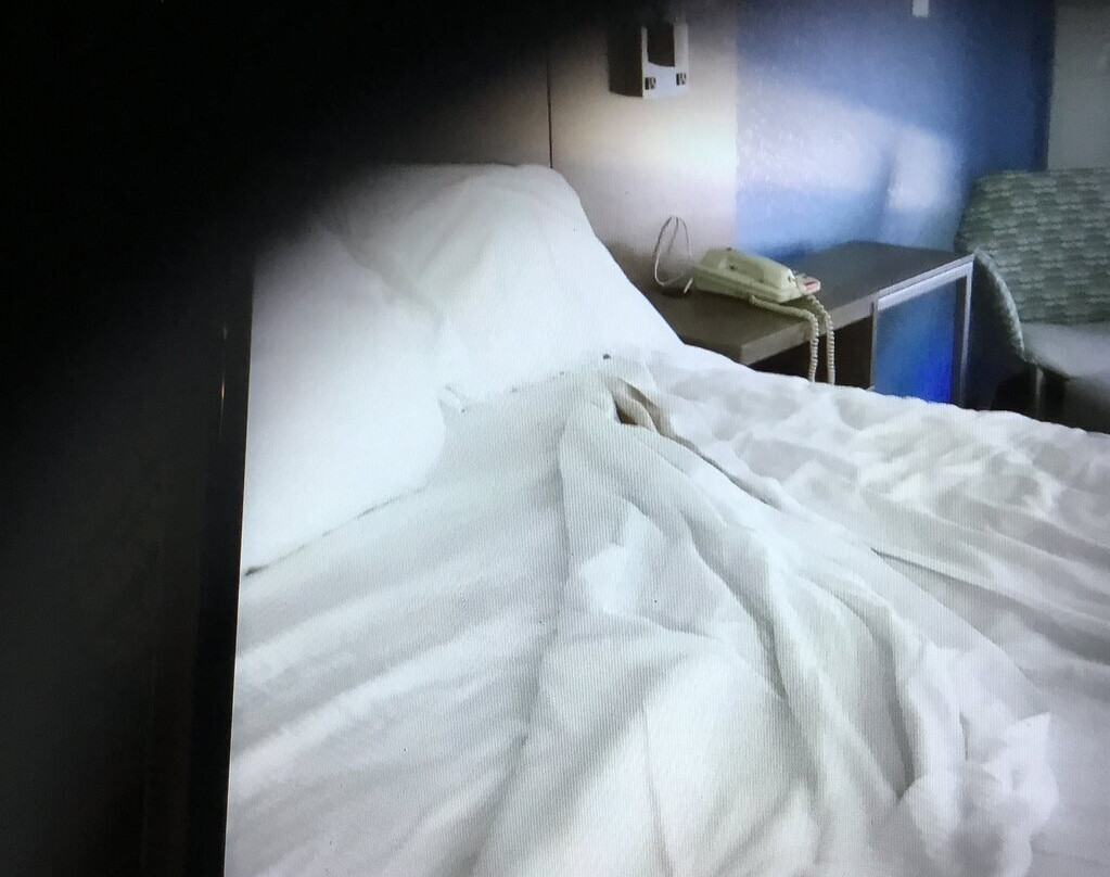 Best Western Starke主图