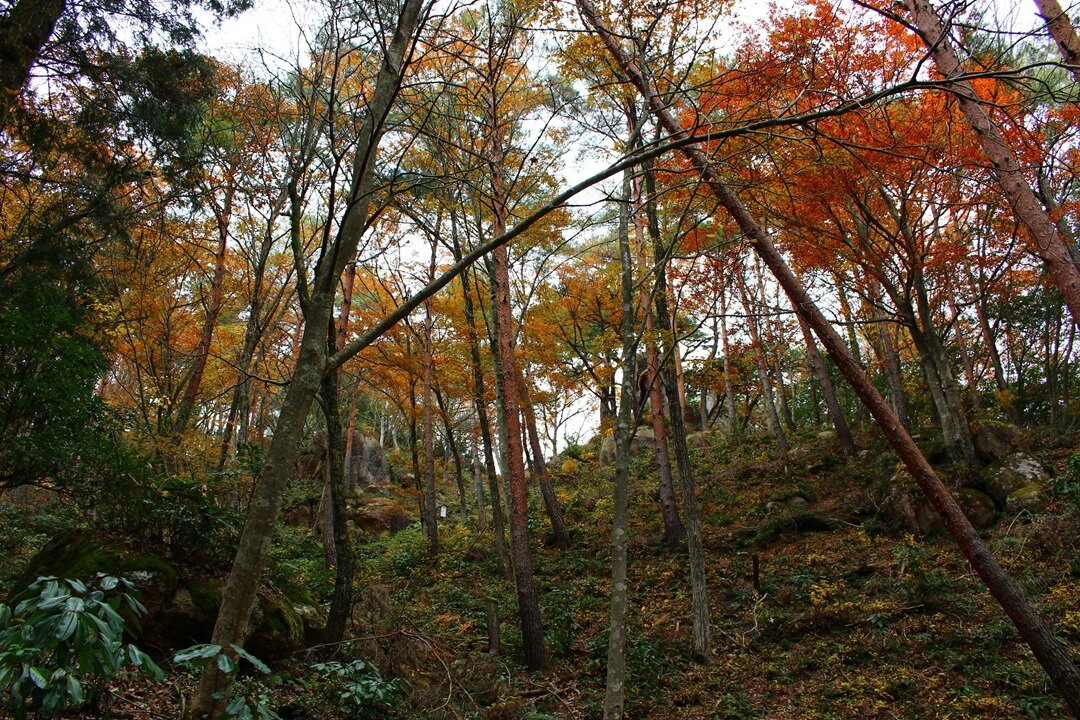 Mt.Misen-邑南町必去景点