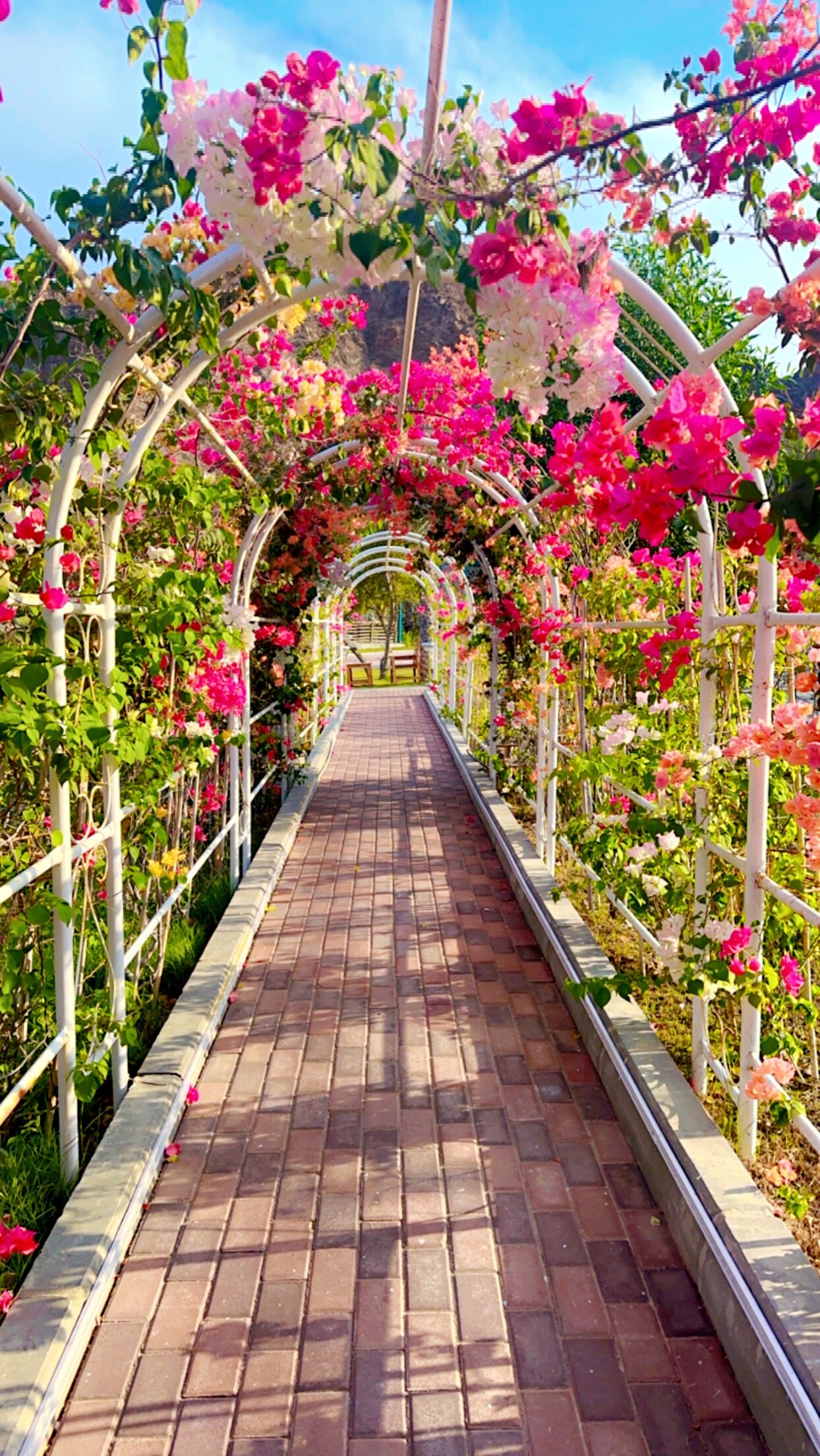 Dibba Mountain Park Resort-官方