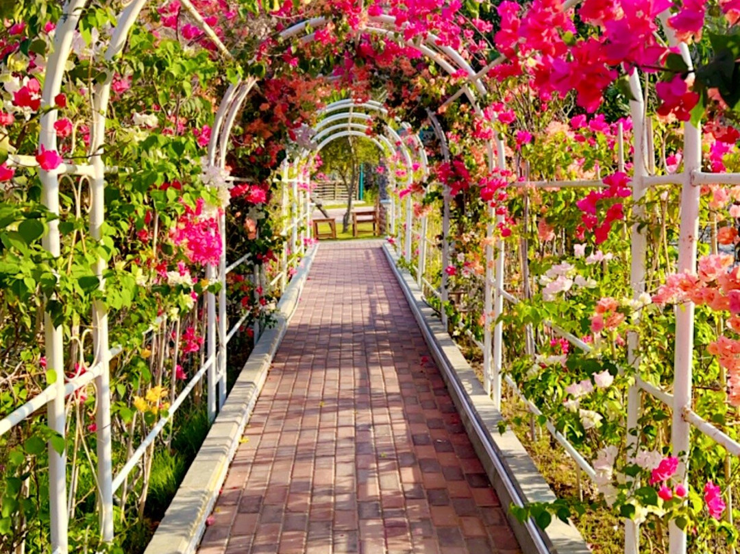 Dibba Mountain Park Resort主图