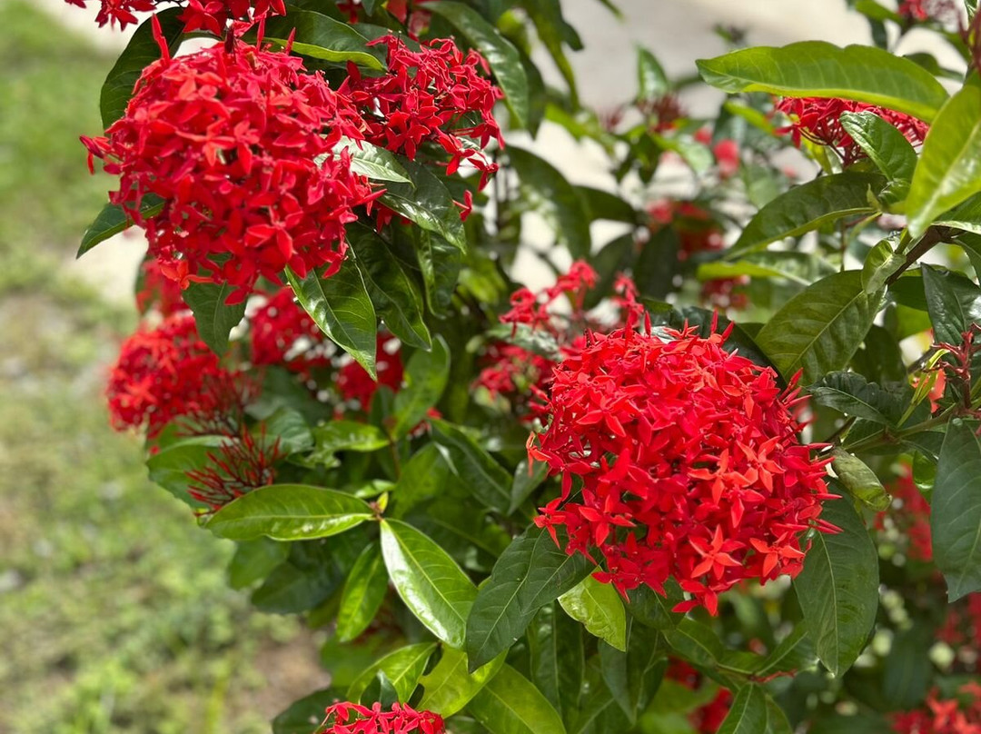 Boutique Hotel Peperpot主图