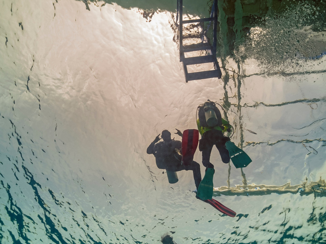 Amigos Dive Centre景点图片