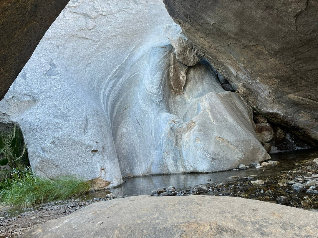 Big Wheel Tours-棕榈沙漠必去景点