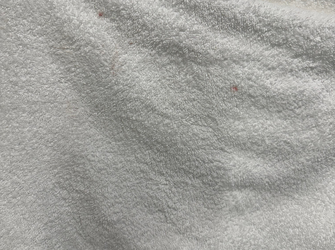 Tru by Hilton Lithia Springs主图