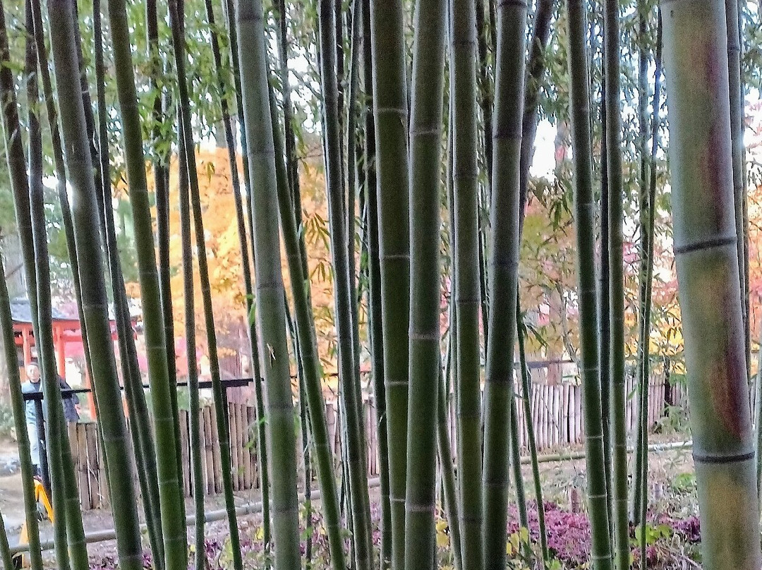 Jujo Ginza Shopping Arcade-北区必去景点