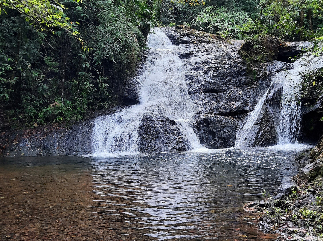 La Loma Del Mango主图