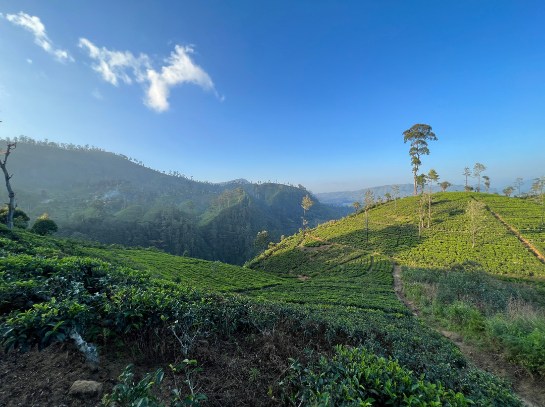 Hugging Clouds Tours-Nallathanniya必去景点