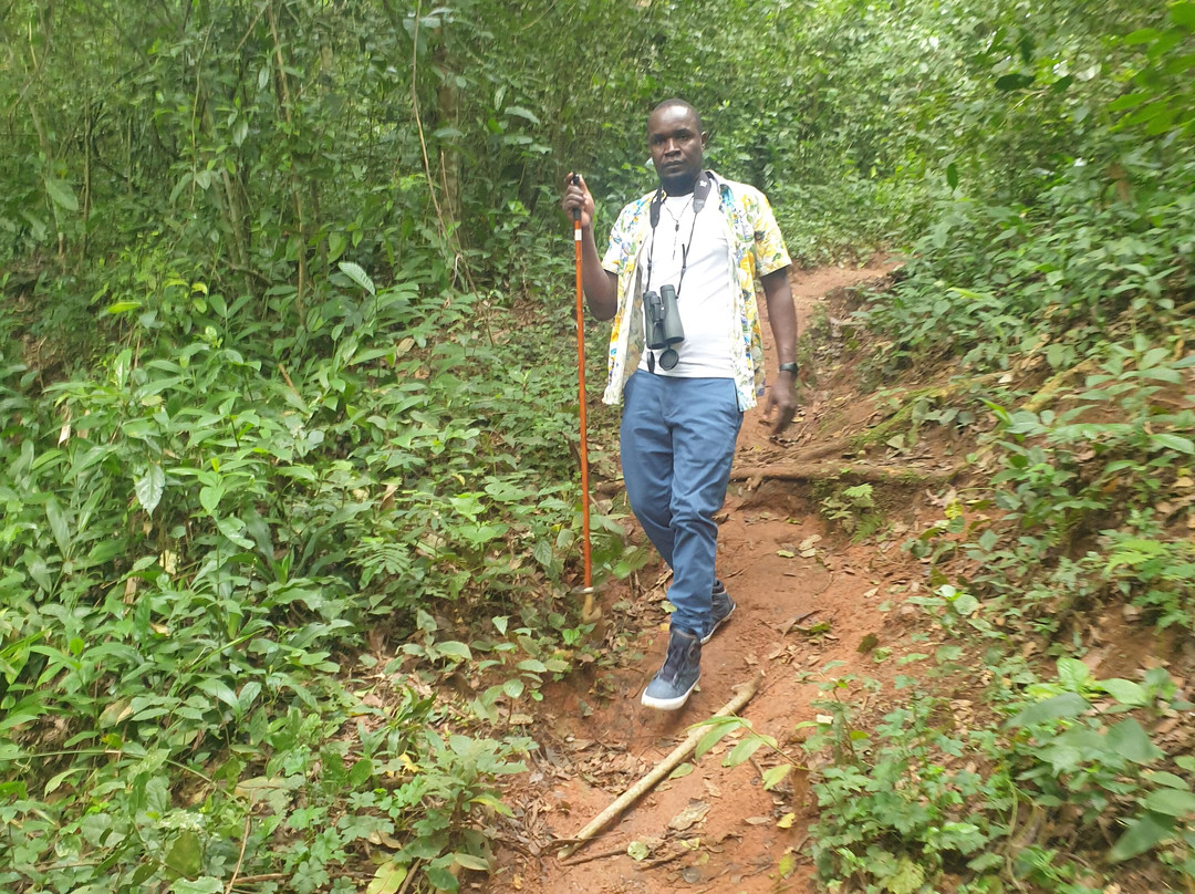 Mpanga Nature Center-Mpigi必去景点