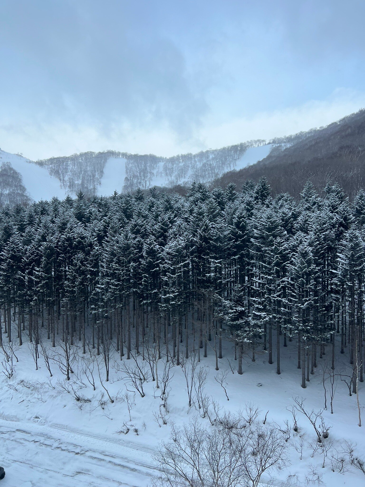 The Vale Rusutsu-官方