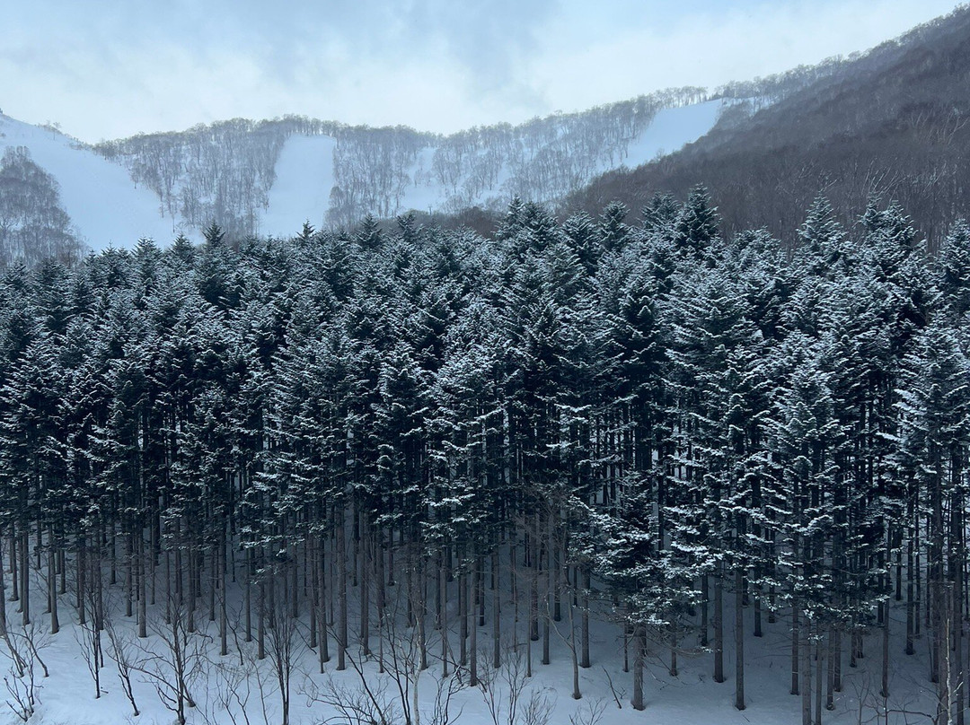 The Vale Rusutsu主图