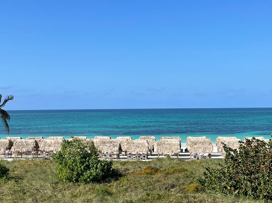 Melia Costa Rey主图